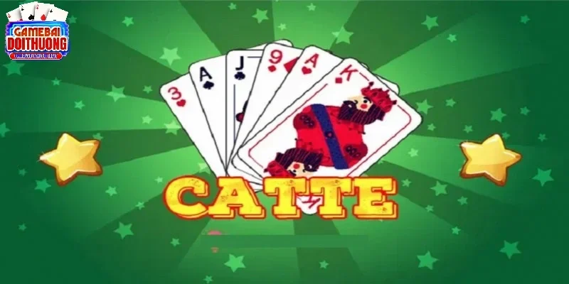 cach-doan-nuoc-bai-catte-1